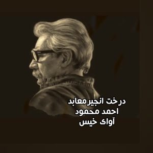 رمان درخت انجیر معابد از احمد محمود دانلود رایگان