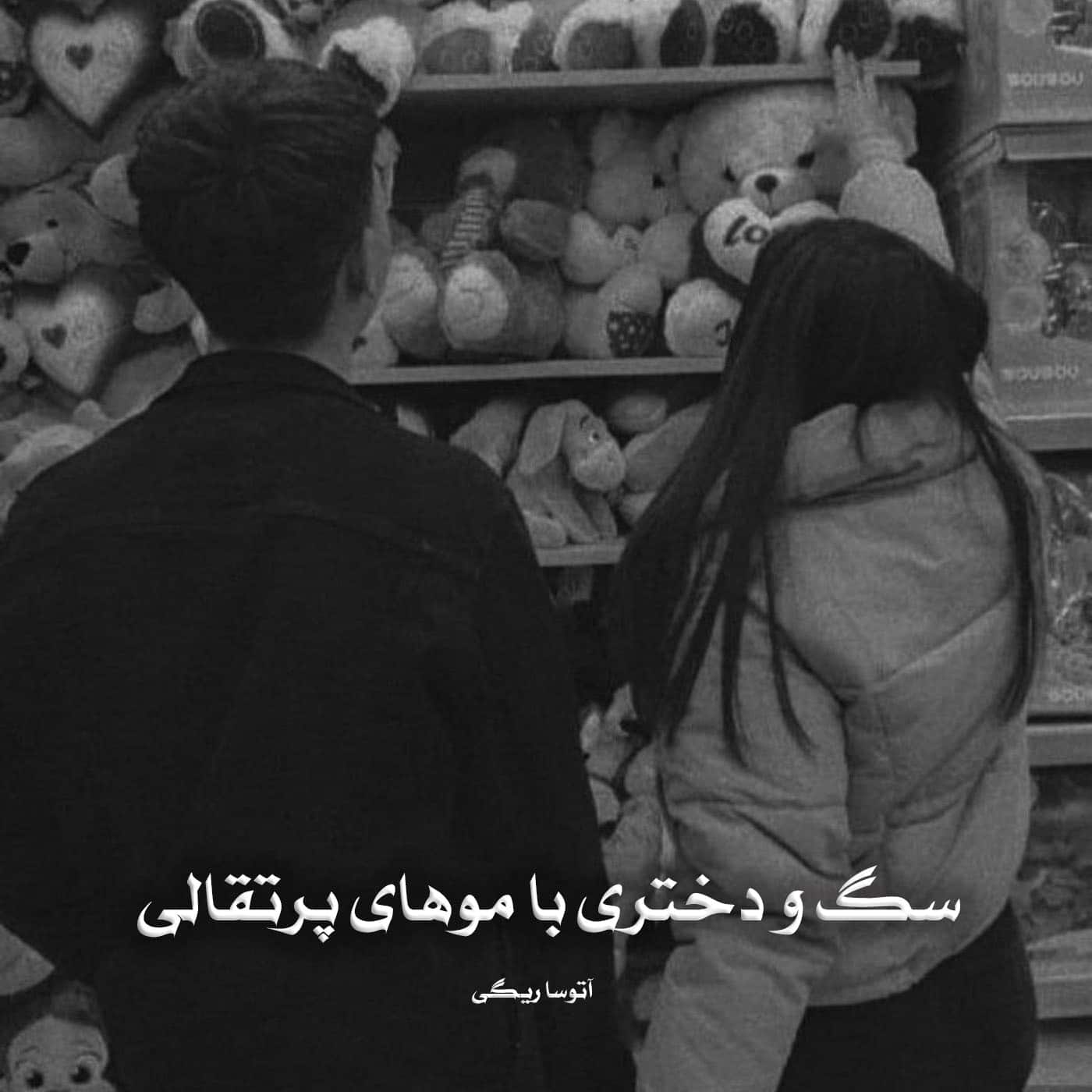 رمان سگ و دختری با موهای پرتقالی از آتوسا ریگی دانلود رایگان