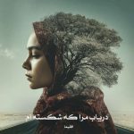 رمان دریاب مرا که شکسته ام از اقلیما دانلود رایگان
