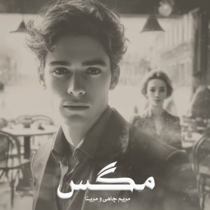 رمان مگس