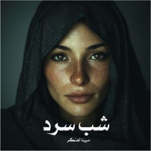 رمان شب سرد